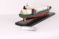 customized model of 193m General Cargo Vessel